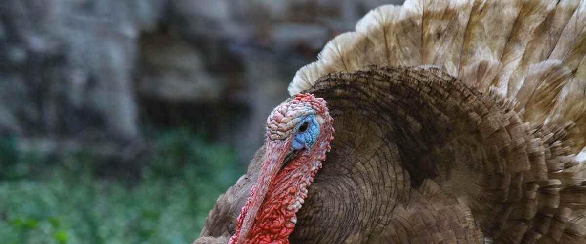 Bursa'da Spor Salonları Arasında Nilüfer'in Yeri