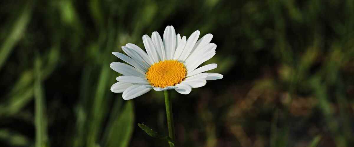 Bursa'da Spor Yaparken Keyif Alacağınız Nilüfer Salonları