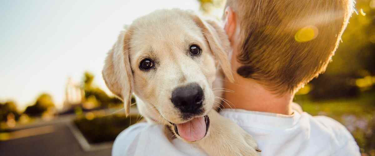 Bursa'da Spor Yapmanın En Güzel Yeri: Osmangazi