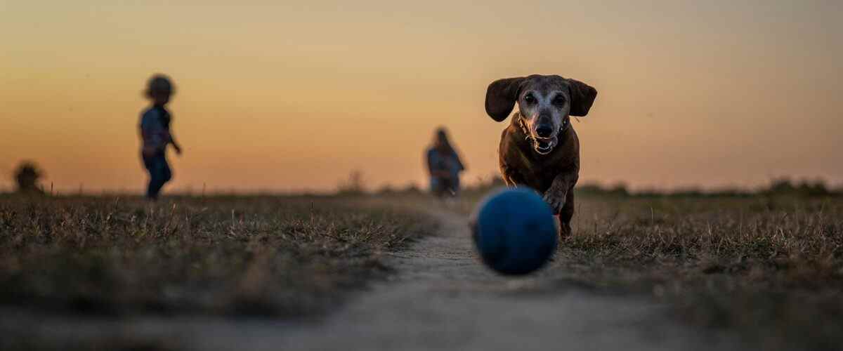 Bursa'da Spor Yapmanın Şaşırtıcı Faydaları