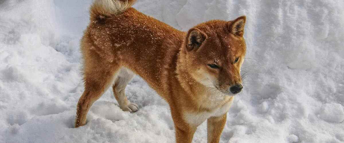 Büyükorhan'da Spor Yapmanın Püf Noktaları