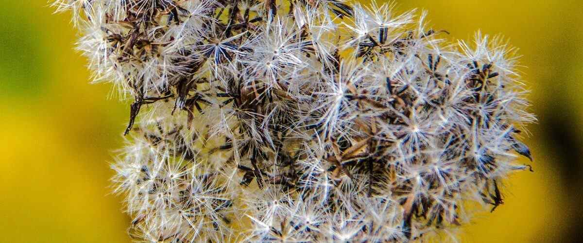 Doğru adresi keşfet: Mustafakemalpaşa'daki en yakın spor salonları