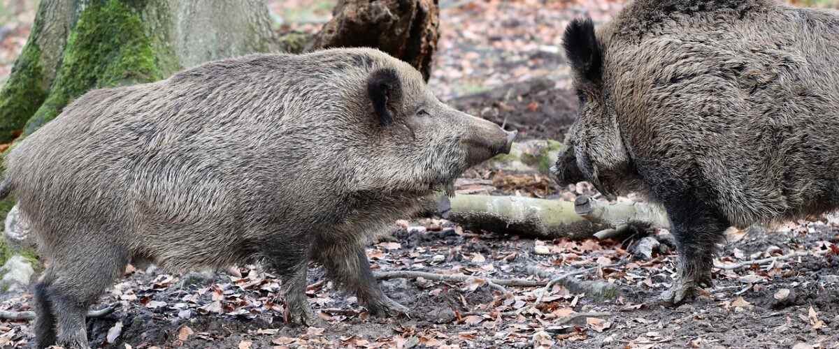 En İyi Spor Salonları Karacabey'de!