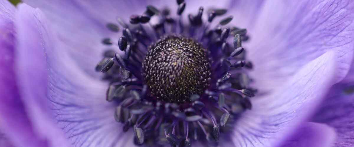 Gemlik Spor Merkezleri: Uzman Ellerde