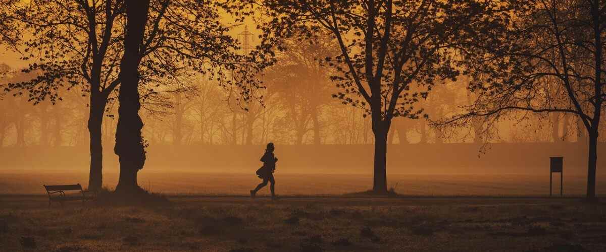 Gemlik'te En İyi Fitness Salonları