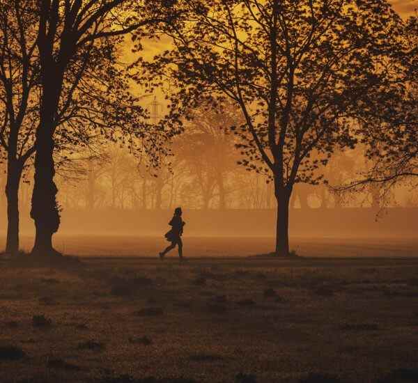 Gemlik'te En İyi Fitness Salonları