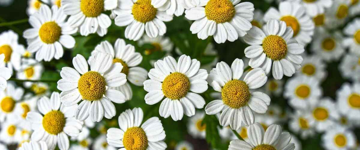 Gemlik'te Fitness Merkezlerinde Neler Yapılır?