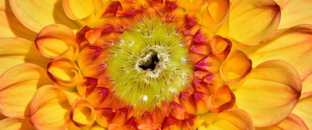 Gemlik'te Fitness Merkezlerindeki Yenilikler