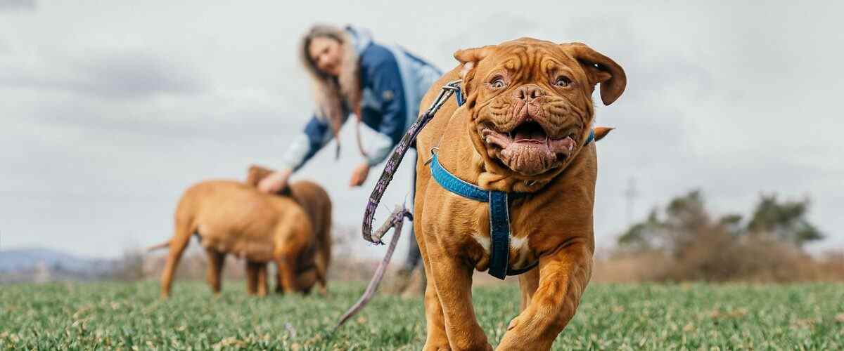 Gemlik'te Spor Yaparken Motive Olma Yolları