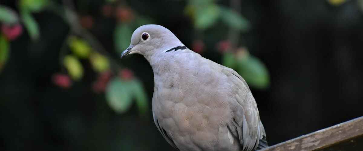 Gemlik'te Spor Yapmanın En İyi Zamanı