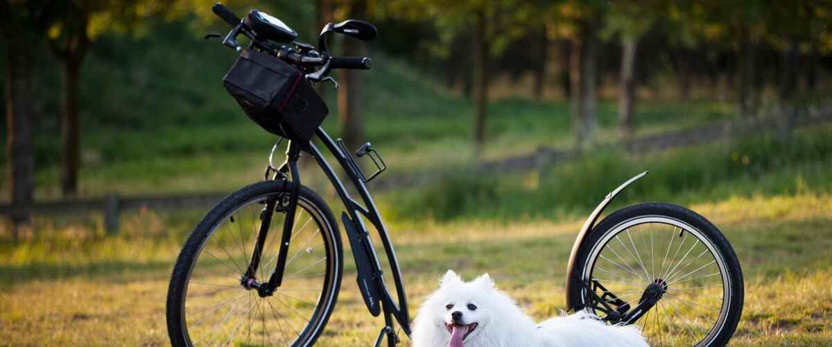 Gemlik'te Spor Yapmanın İpuçları