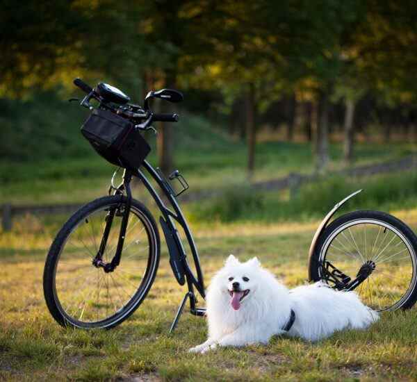 Gemlik'te Spor Yapmanın İpuçları
