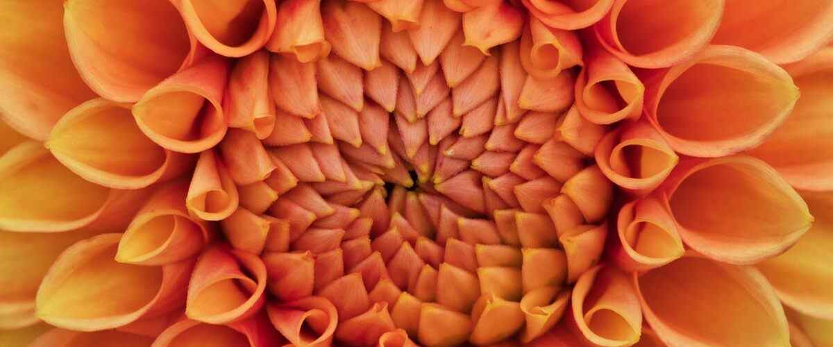 Gürsu'da Fitness Dünyasında Yeni Bir Soluk