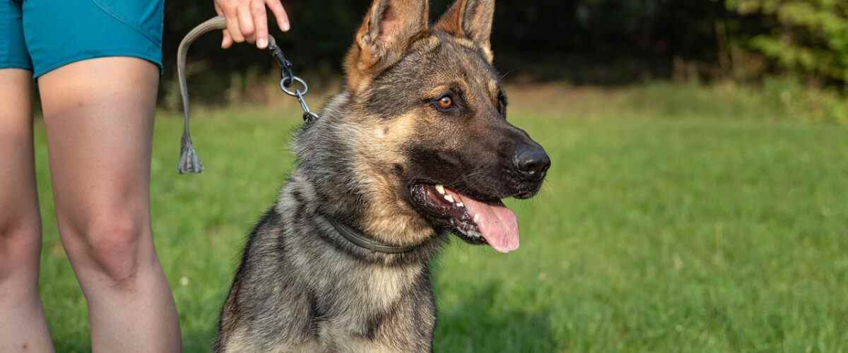 Gürsu'da Fitness Merkezlerindeki En İyi Antrenörler