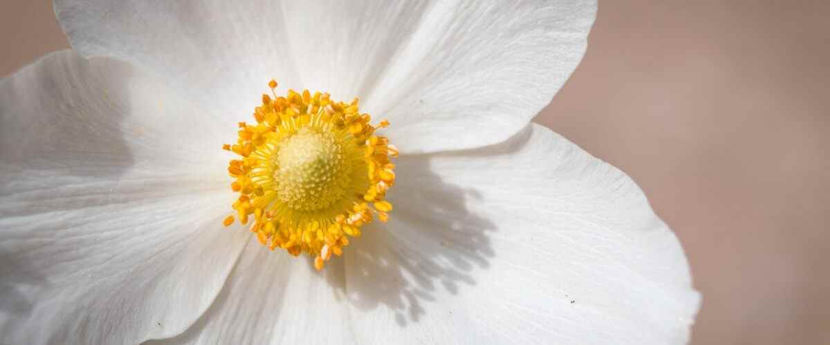 Gürsu'da Fitness Merkezlerindeki Sırlar