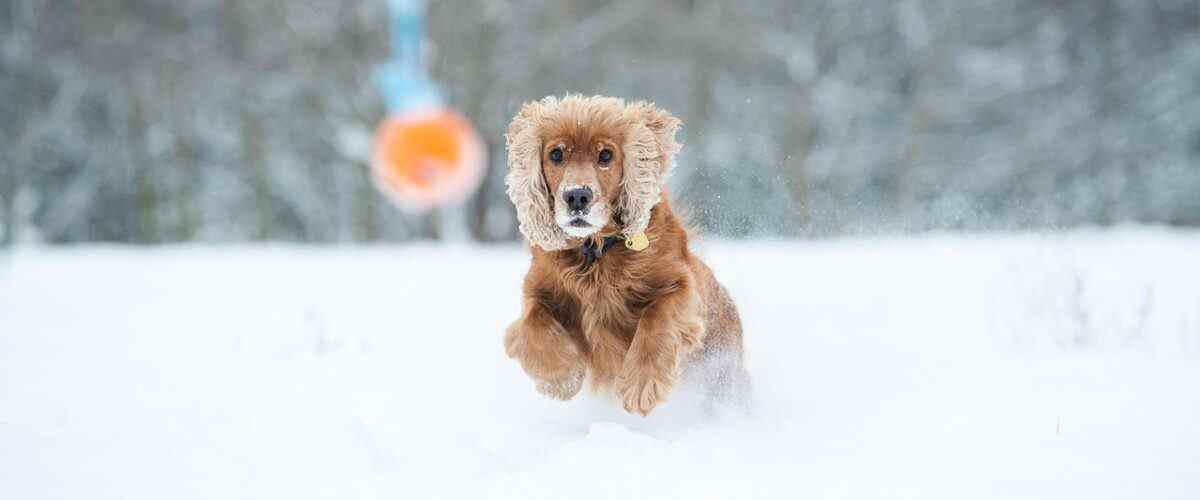 Gürsu'da Spor Yapmanın En Havalı Yolu