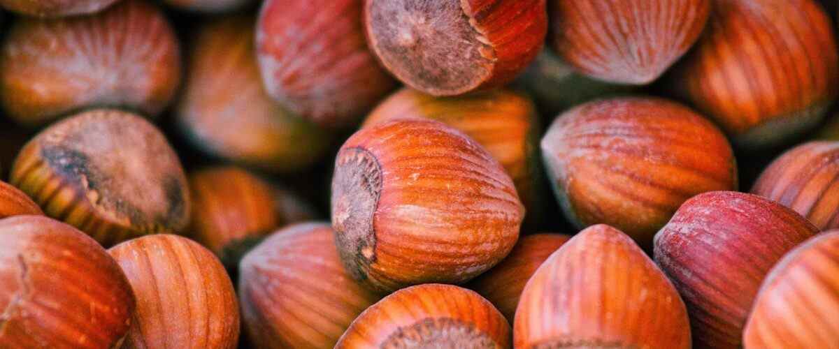 Gürsu'da Spor Yapmanın En İyi Beslenme Önerileri