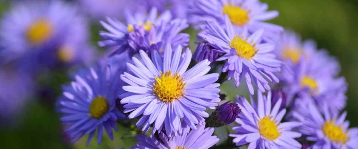 Gürsu'da Spor Yapmanın En İyi Eğitmenleri: Fitness Merkezleri