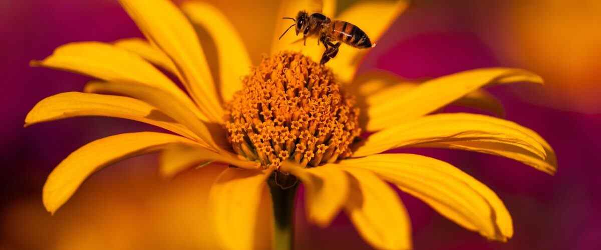 Gürsu'da Spor Yapmanın En İyi Yatırımı: Fitness Merkezleri