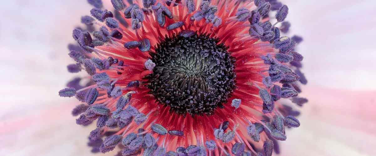 Harmancık ve Büyükorhan'da En İyi Fitness Merkezleri