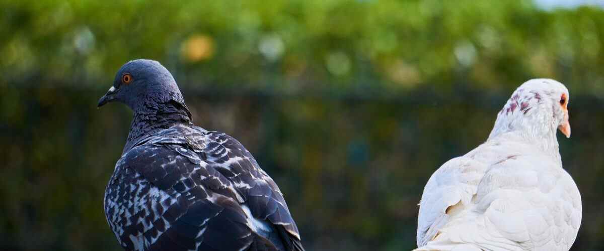 İnegöl'de Spor Yapmanın Keyfi: En Yakın Spor Salonları