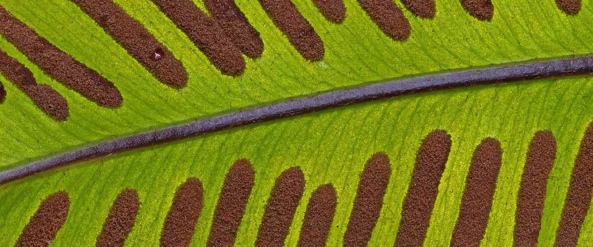 Karacabey'de Spor Yapabileceğiniz En İyi Yerler