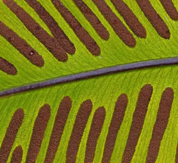 Karacabey'de Spor Yapabileceğiniz En İyi Yerler