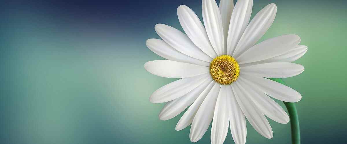 Keles'te En İyi Fitness ve Spor Merkezleri