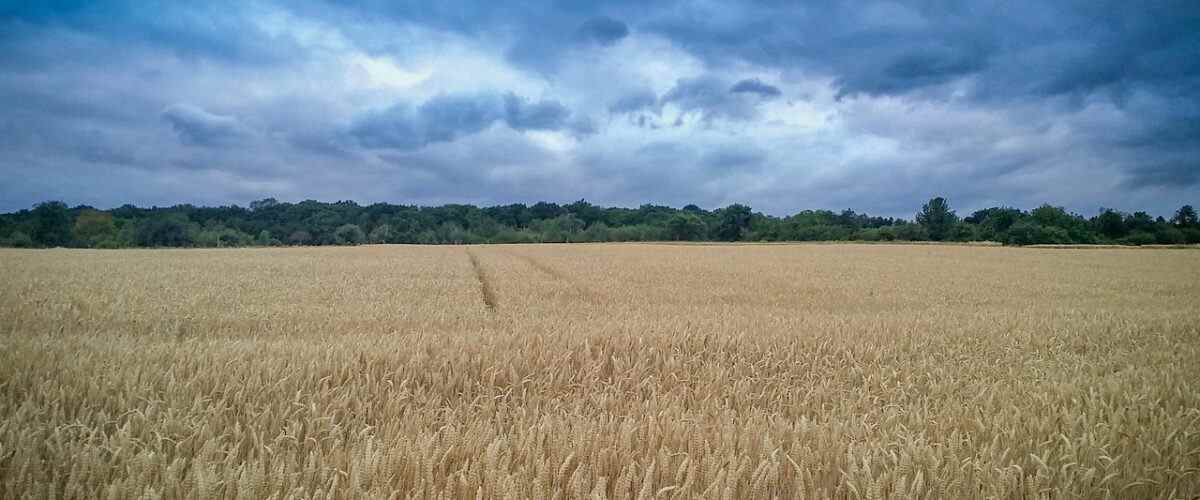 Mudanya'da Fitness Merkezlerinde Yapılan Sporlar