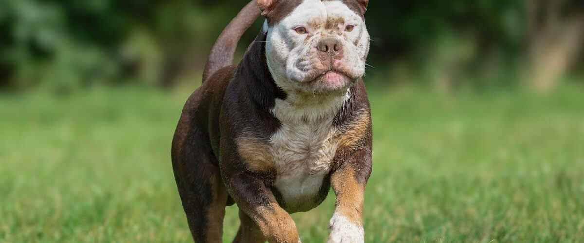 Mudanya'da Fitness Merkezlerinin Avantajları