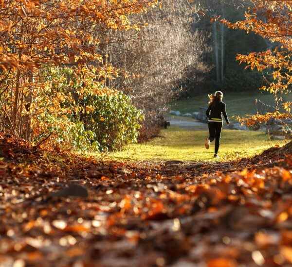 Mudanya'da Sağlıklı ve Zinde Kalmanın Yolları