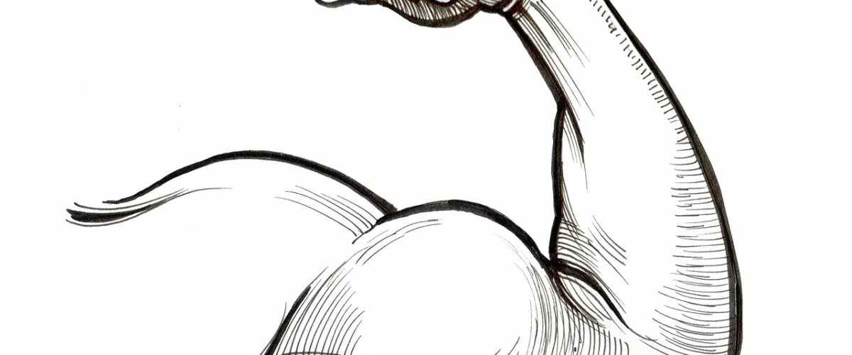 Mudanya'da Sağlıklı Yaşamın Adresi: Spor Salonları