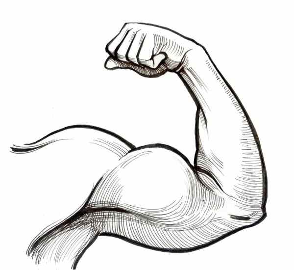 Mudanya'da Sağlıklı Yaşamın Adresi: Spor Salonları