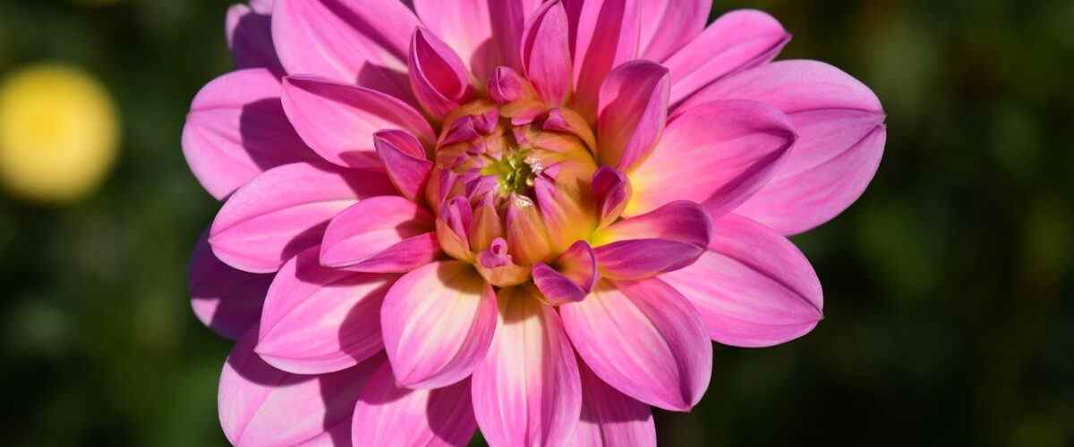 Mudanya'da Spor Yapmanın Püf Noktaları