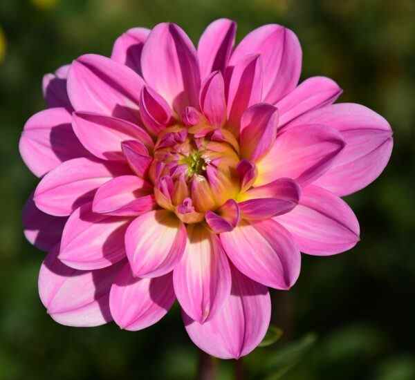 Mudanya'da Spor Yapmanın Püf Noktaları