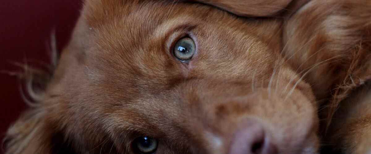 Mudanya'da Spor Yapmanın Sırları