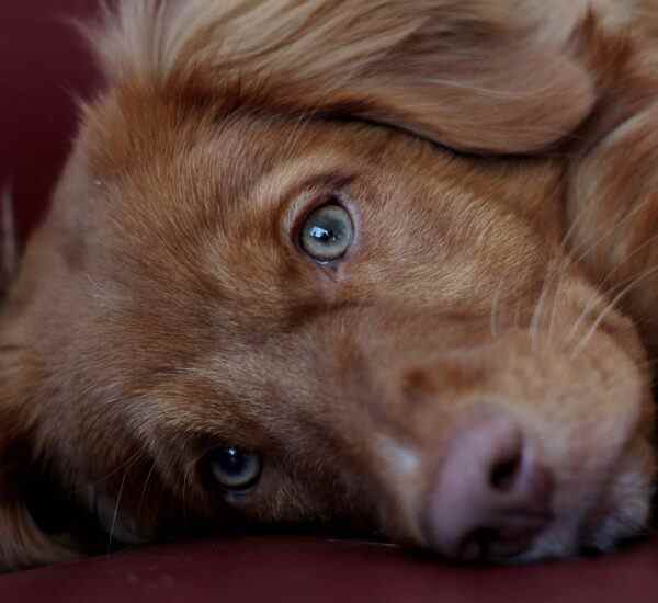 Mudanya'da Spor Yapmanın Sırları