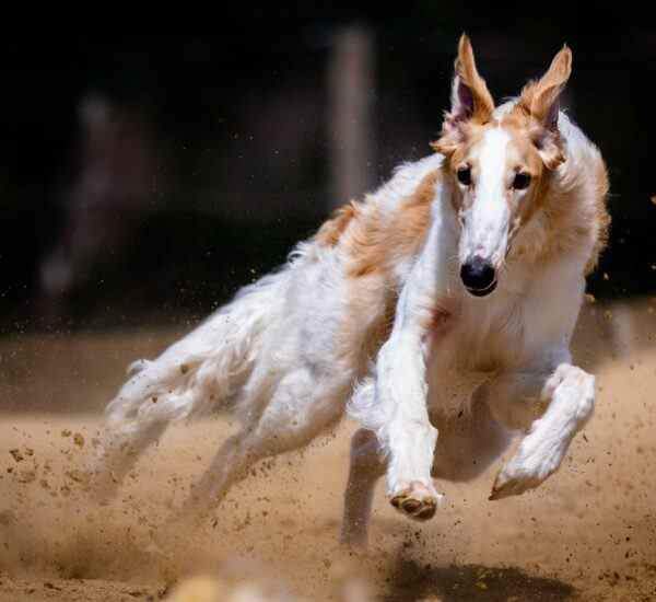 Mudanya'da Spor Yapmanın Zevkli Yolları
