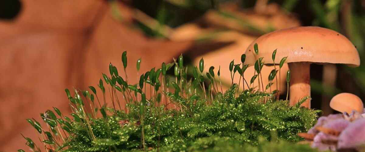 Orhangazi'da En İyi Spor Salonları Hangileri?