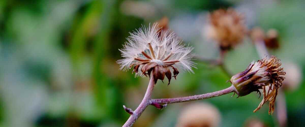 Osmangazi'de Spor Yaparken Keyif Alacağınız Mekanlar