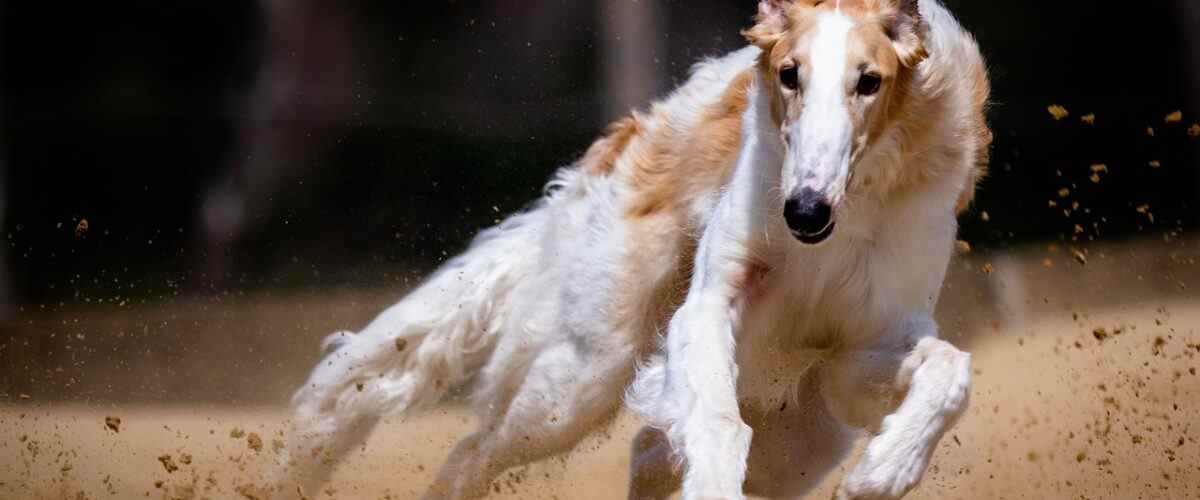 Osmangazi'de Spor Yapmanın En Eğlenceli Yolları