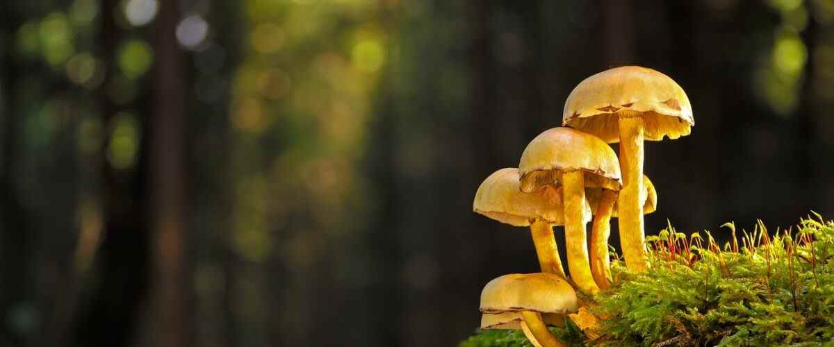 Osmangazi'de Spor Yapmanın En Eğlenceli Yolu