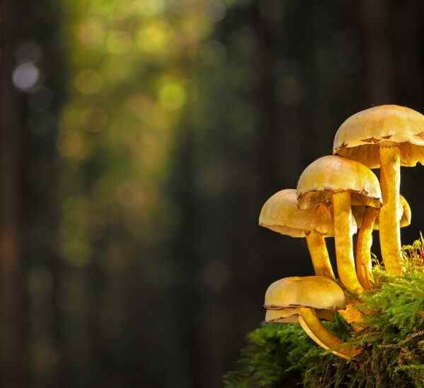 Osmangazi'de Spor Yapmanın En Eğlenceli Yolu