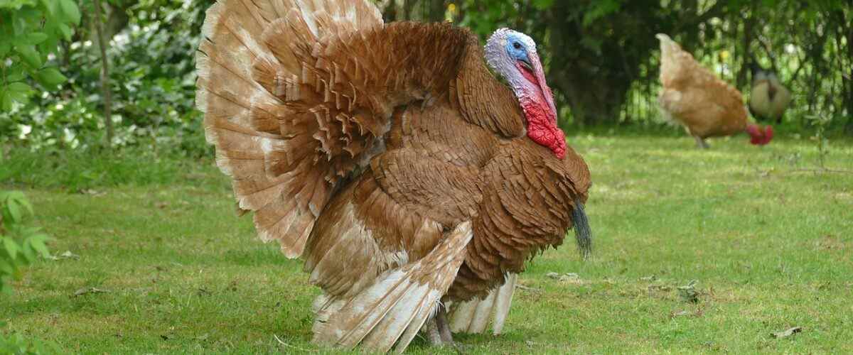 Osmangazi'de Spor Yapmanın En Keyifli Yolu