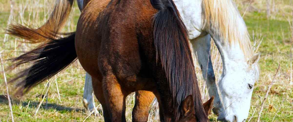 Osmangazi'de Spor Yapmanın Vazgeçilmez Adresleri