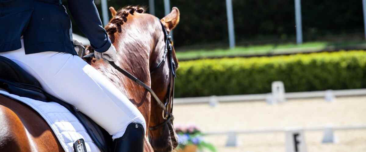 Spor Severlerin Buluşma Noktası: Osmangazi Spor Salonları