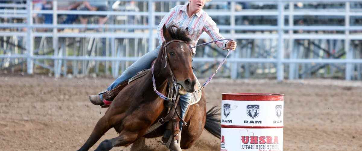 Spor Tutkunları Buraya: Osmangazi Spor Salonları