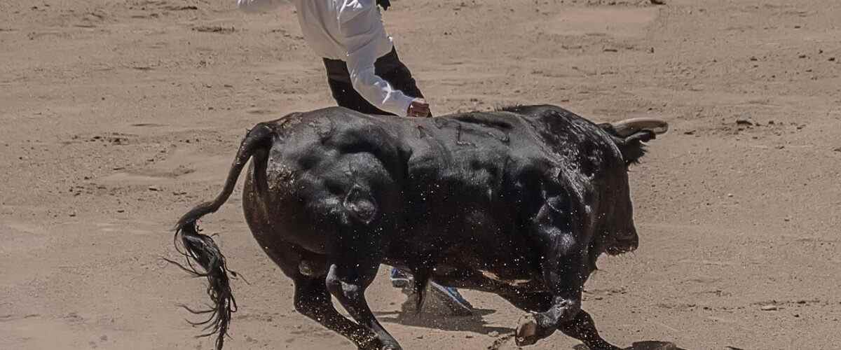 Spor Tutkunlarına Müjde: Osmangazi'de Yeni Spor Salonları