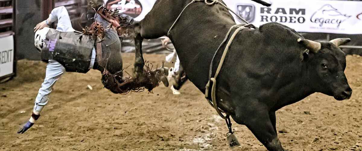 Spor ve Eğlence Bir Arada: Bursa Spor Salonları