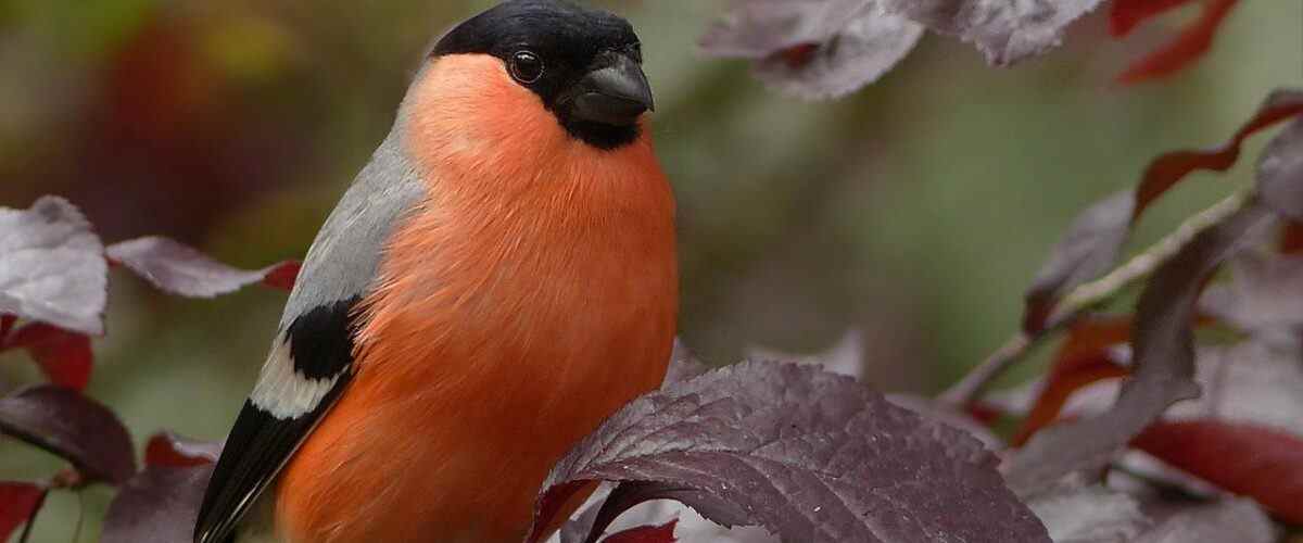 Spor Yaparak Bursa'nın Doğasının Keyfini Çıkarın